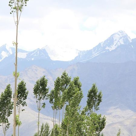 Hotel Kasdar Ladakh レー エクステリア 写真